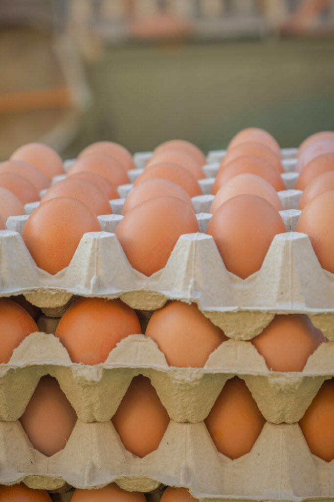 EGGS